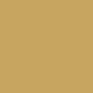 iALARM Corporate Identity Farben: Goldocker iALARM Corporate Identity Farben: Goldocker